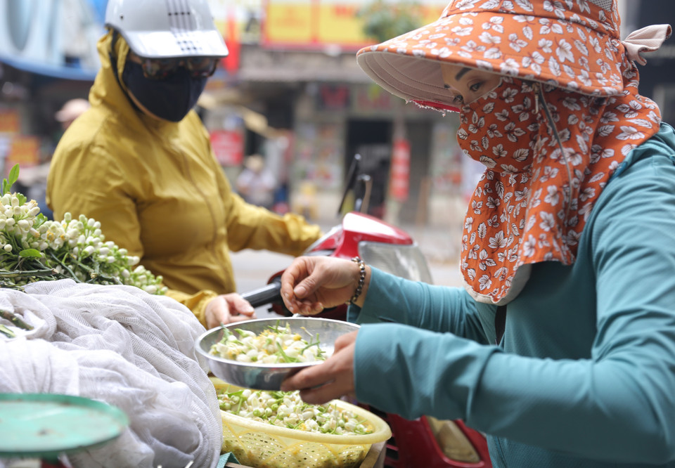 Người dân chọn mua hoa bưởi trên phố Lò Đúc (ảnh chụp ngày 22/2/2021). (Ảnh: Hoàng Hiếu/TTXVN)