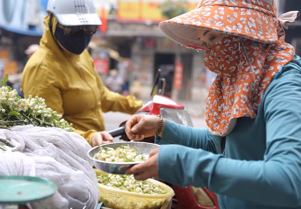 Người dân chọn mua hoa bưởi trên phố Lò Đúc (ảnh chụp ngày 22/2/2021). (Ảnh: Hoàng Hiếu/TTXVN)