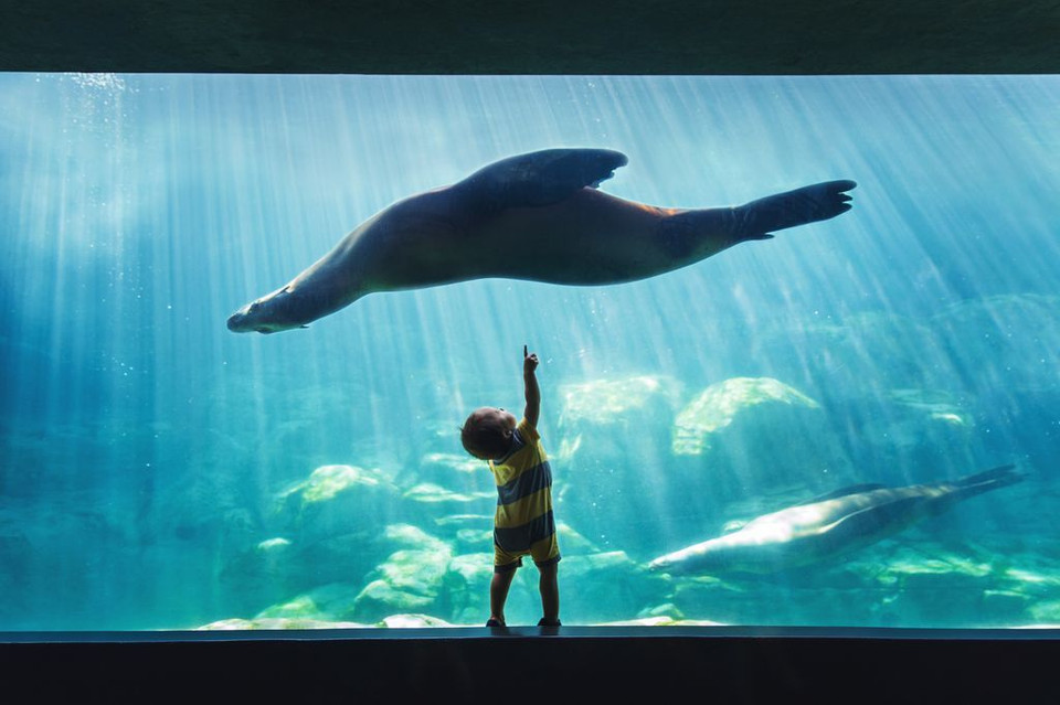 Kỳ quan trẻ thơ. (Nguồn: NatGeo). Bức ảnh về con trai của nhiếp ảnh gia Vironica Golden thể hiện niềm hạnh phúc của tác giả khi may mắn sinh con bằng phương pháp thụ tinh trong ống nghiệm. 