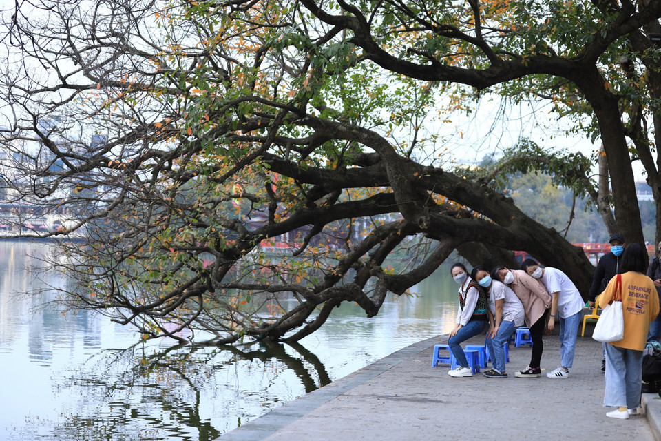 Nhiều bạn trẻ đến khu vực Hồ Gươm ghi lại những khoảnh khắc mùa lộc vừng thay lá. (Ảnh: Hoàng Hiếu/TTXVN) 