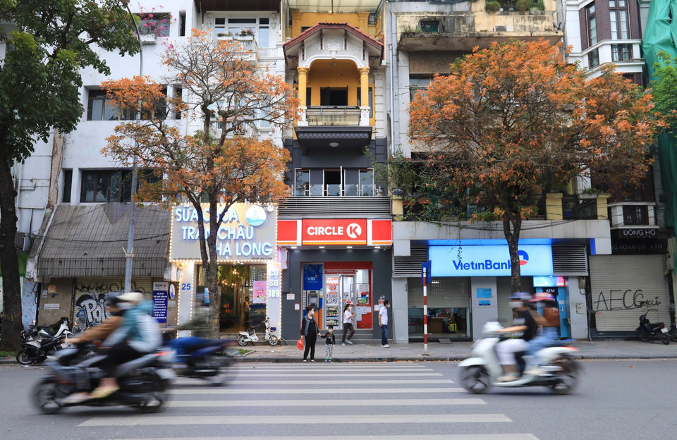 Lộc vừng đỏ rực trên phố Đinh Tiên Hoàng. (Ảnh: Hoàng Hiếu/TTXVN) 