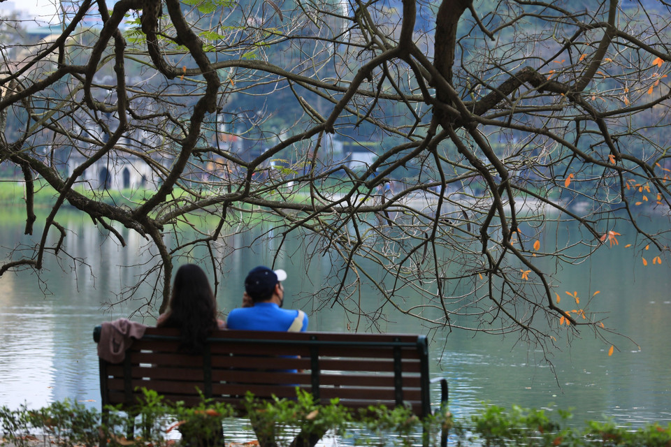 Vẻ lãng mạn của Hồ Gươm mùa lộc vừng thay lá. (Ảnh: Hoàng Hiếu/TTXVN) 