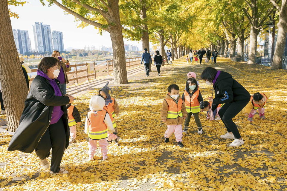 Trẻ em thích thú vui chơi trên thảm lá vàng ở Đại lộ cây Ngân Hạnh. (Ảnh: Anh Nguyên/TTXVN)