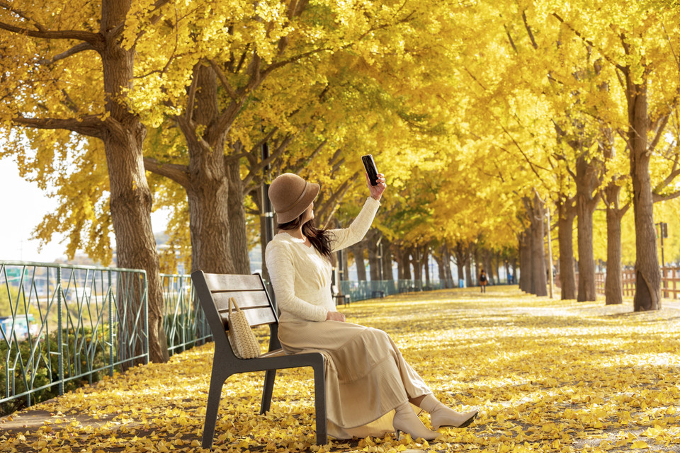 Du khách check-in ở Đại lộ cây ngân hạnh. (Ảnh: Anh Nguyên/TTXVN)