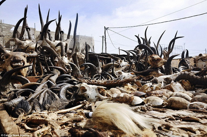 Những món hàng ở đây được nhiều người mê tín tìm kiếm. (Nguồn: Caters News Agency)