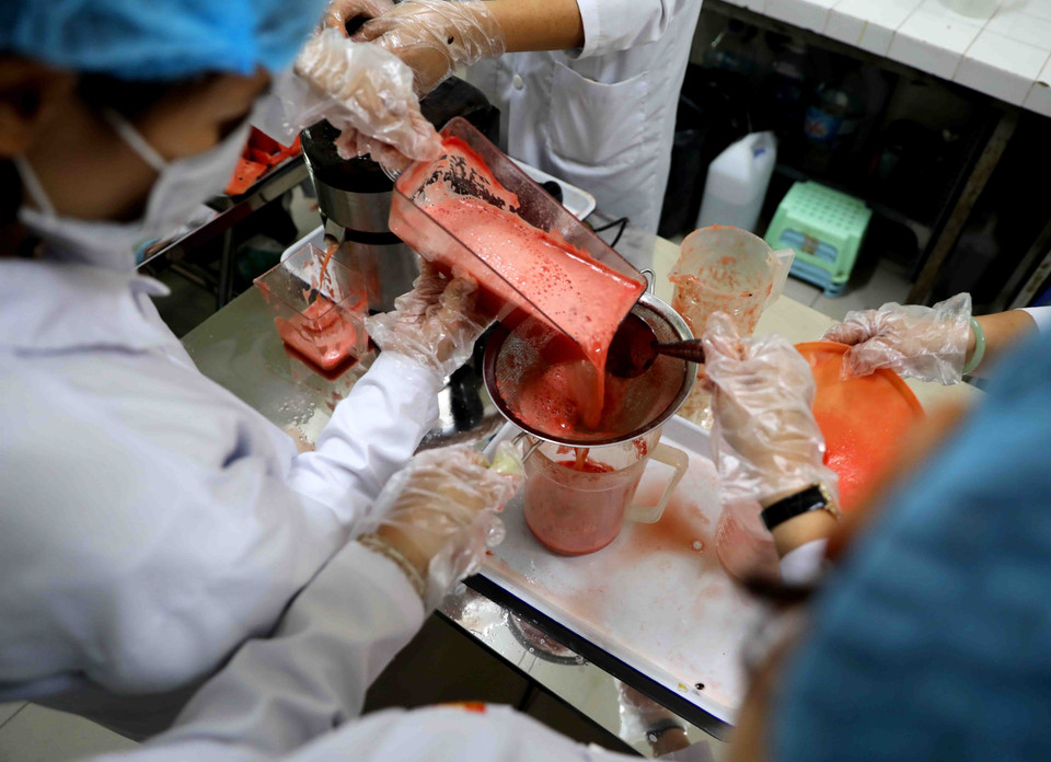 Nguyên liệu dưa hấu được sơ chế, tách hạt, ép nước trước khi đưa vào thiết bị cô đặc bằng công nghệ JEVA. (Ảnh: Thanh Tùng/TTXVN)