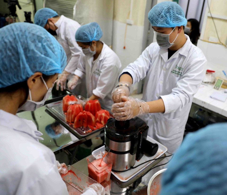 Nguyên liệu dưa hấu được sơ chế, tách hạt, ép nước trước khi đưa vào thiết bị cô đặc bằng công nghệ JEVA. (Ảnh: Thanh Tùng/TTXVN)