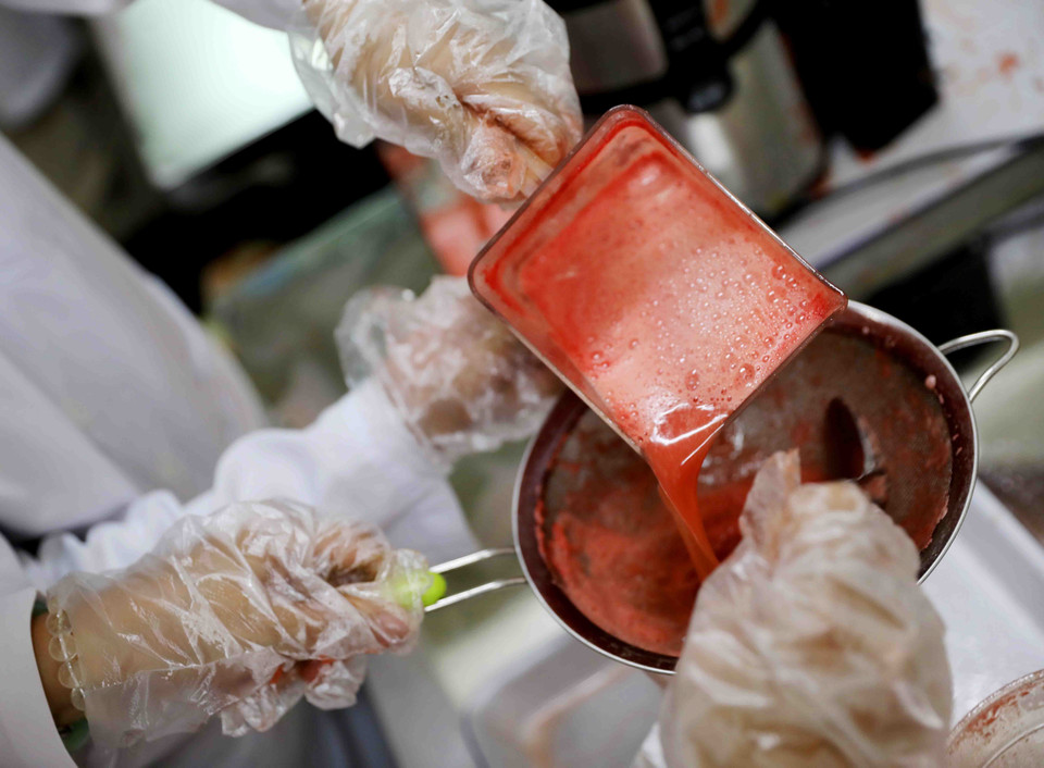 Viện Nghiên cứu và Phát triển ứng dụng các Hợp chất thiên nhiên, Trường Đại học Bách Khoa Hà Nội ứng dụng công nghệ JEVA để giải cứu dưa hấu. (Ảnh: Thanh Tùng/TTXVN)