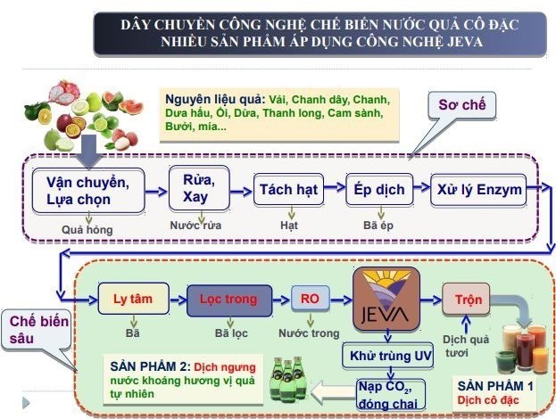 Nguyên liệu dưa hấu được sơ chế, tách hạt, ép nước trước khi đưa vào thiết bị cô đặc bằng công nghệ JEVA. (Ảnh: Thanh Tùng/TTXVN)