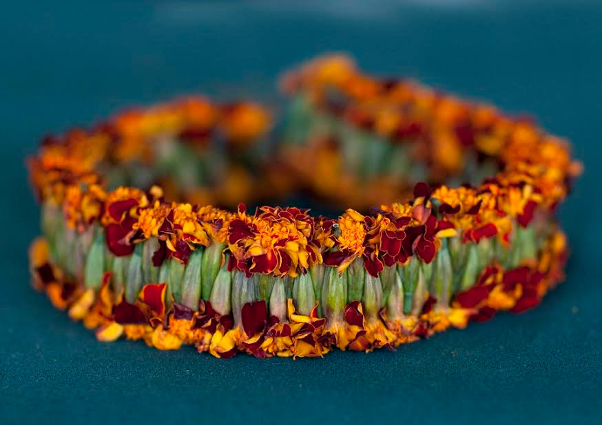 Một vòng hoa làm từ hoa cúc xoăn. Tuy nhiên, thông thường các vòng hoa ở đây hay được làm từ hoa nhài dại và húng tây. (Nguồn: Daily Mail)