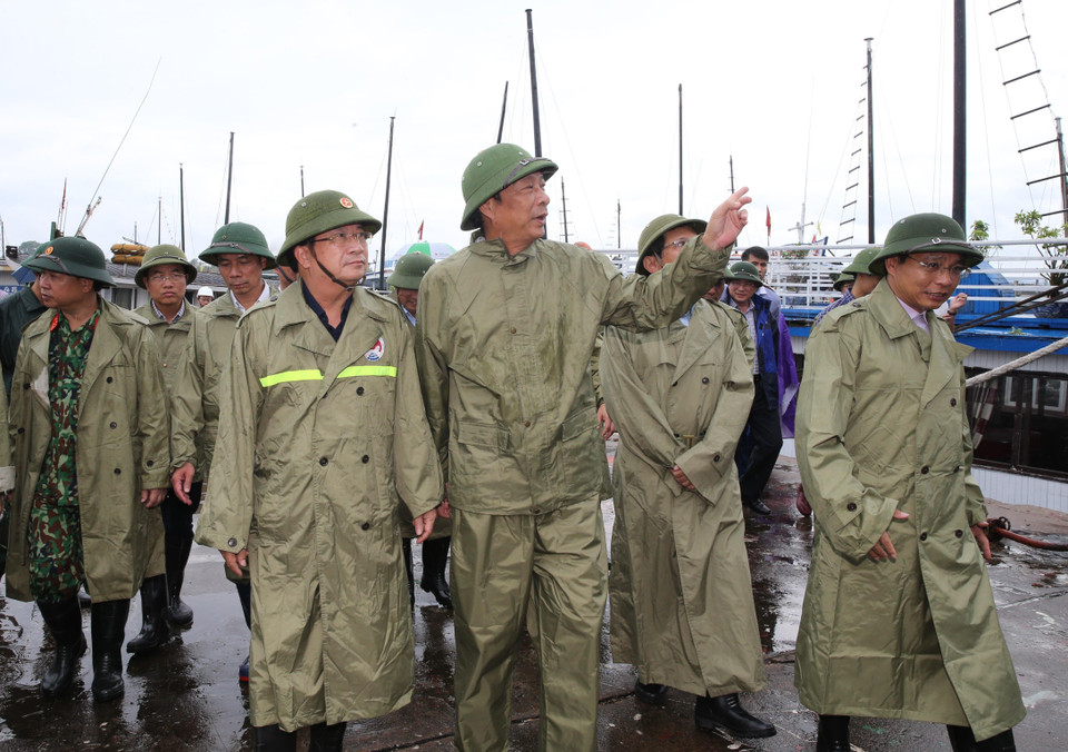 (Ảnh: Dương Giang/TTXVN)