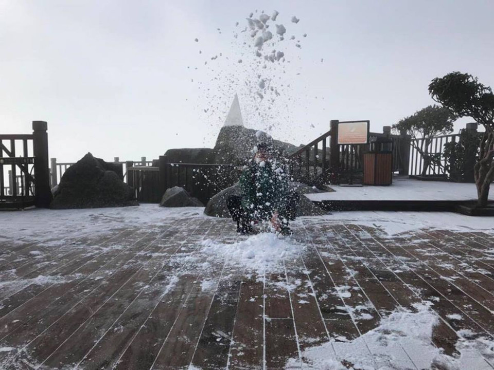 Sáng 17/1, đỉnh Fansipan trắng xóa một lớp băng tuyết dày khoảng 7mm. (Ảnh: N.A)