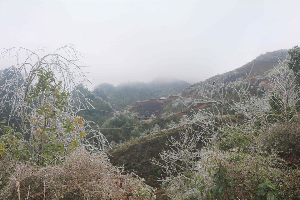 (Ảnh: Chu Hiệu/TTXVN)