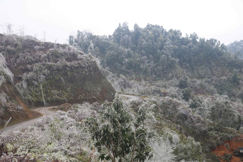 Băng giá bao phủ dày trên những cung đường, tạo nên cảnh tượng thiên nhiên kỳ thú. (Ảnh: Chu Hiệu/TTXVN)