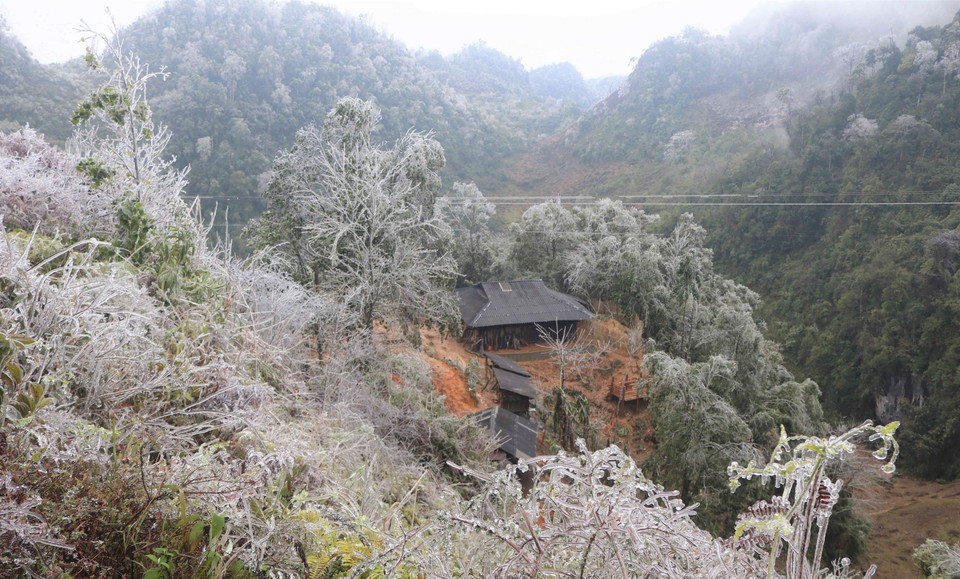 Băng giá bao phủ dày trên đỉnh núi Ca Dằm, tỉnh Cao Bằng. (Ảnh: Chu Hiệu/TTXVN)