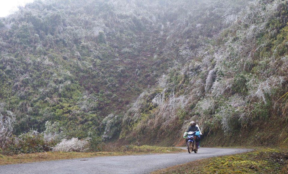 Băng bao phủ dày trên những cung đường, tạo nên cảnh tượng thiên nhiên kỳ thú. (Ảnh: Chu Hiệu/TTXVN)
