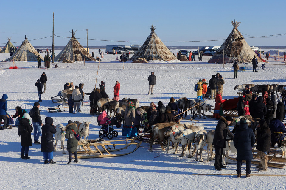 Lễ hội người chăn hươu phương Bắc thường diễn ra vào thời điểm người chăn hươu di chuyển đàn từ các cánh đồng mùa đông sang đồng cỏ mùa hè ở vùng cực Bắc. (Ảnh: Trần Hiếu/TTXVN)