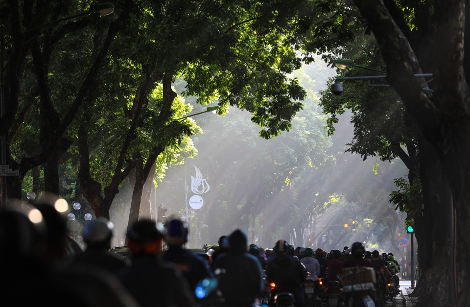 Những người đi làm sớm qua con đường Phan Đình Phùng có thể vừa đi xe vừa ngắm những giọt nắng thu trong vắt, đẹp mơ màng. (Ảnh: Thành Đạt/TTXVN)