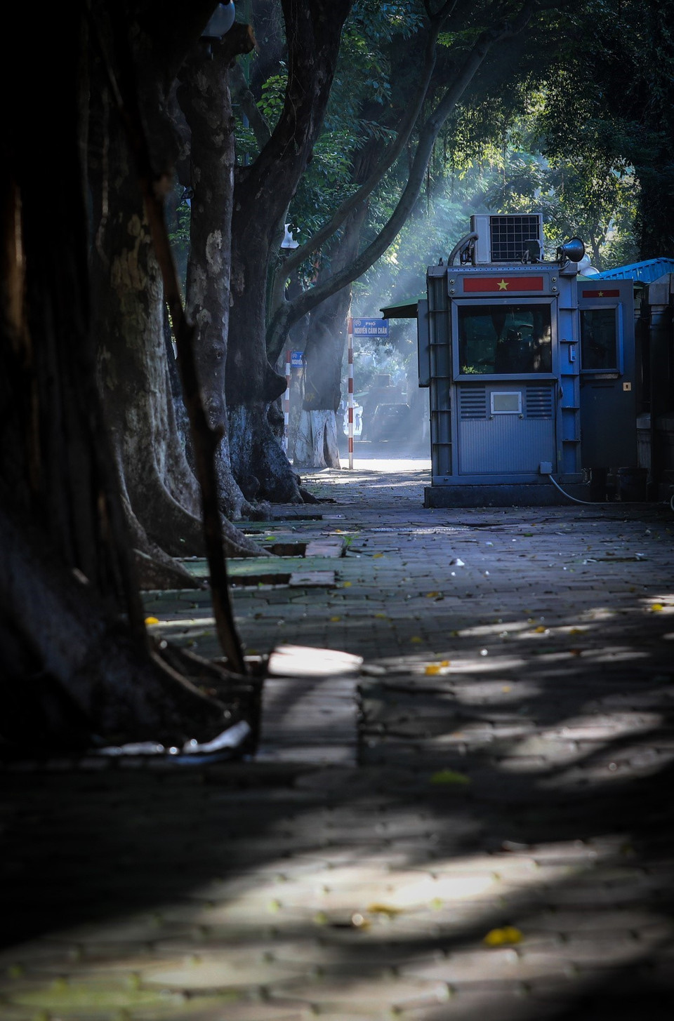 Ánh nắng ban mai rọi qua từng kẽ lá của hai hàng sấu già tạo nên những ray sáng kỳ ảo, nhuộm màu nắng thu làm xao xuyến lòng người. (Ảnh: Thành Đạt/TTXVN)