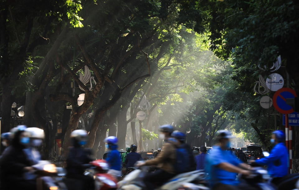 Những người đi làm sớm từ 7-8h qua con đường Phan Đình Phùng có thể vừa đi xe vừa ngắm những ray sáng. (Ảnh: Thành Đạt/TTXVN)