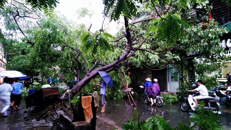 Khung cảnh tan hoang sau cơn dông. (Ảnh: Sơn Bách/Vietnam+)