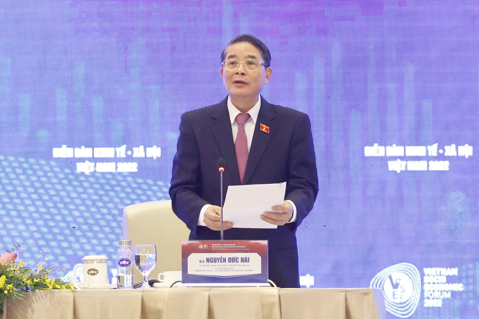 Phó Chủ tịch Quốc hội Nguyễn Đức Hải phát biểu. (Ảnh: Doãn Tấn/TTXVN)