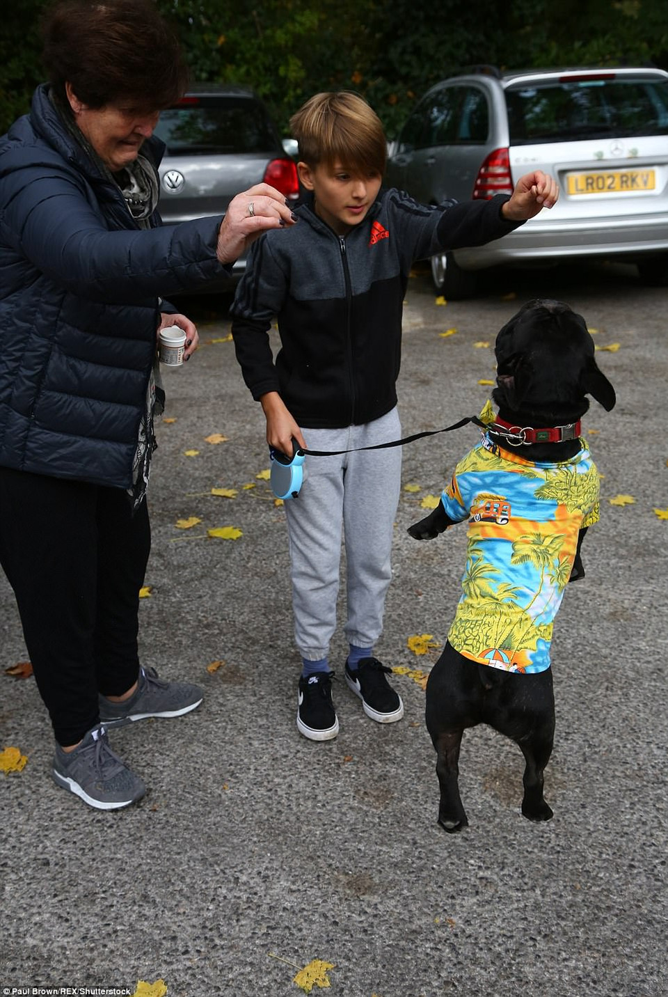 Lại một chú chó hóa trang thành người, từ chiếc áo đến dáng đứng. (Nguồn: DailyMail)