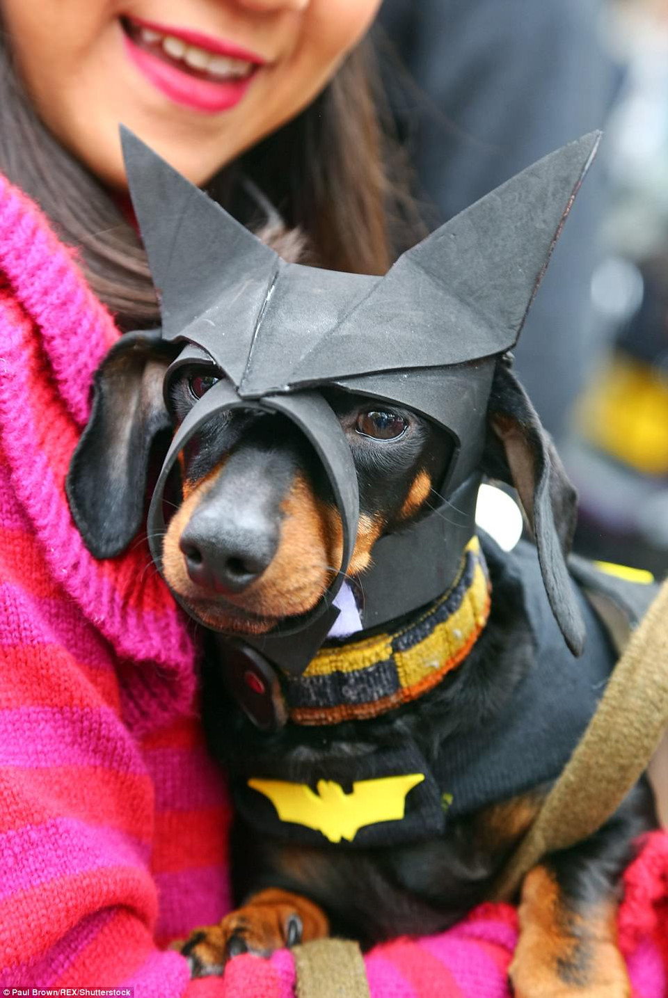 (Nguồn: DailyMail)