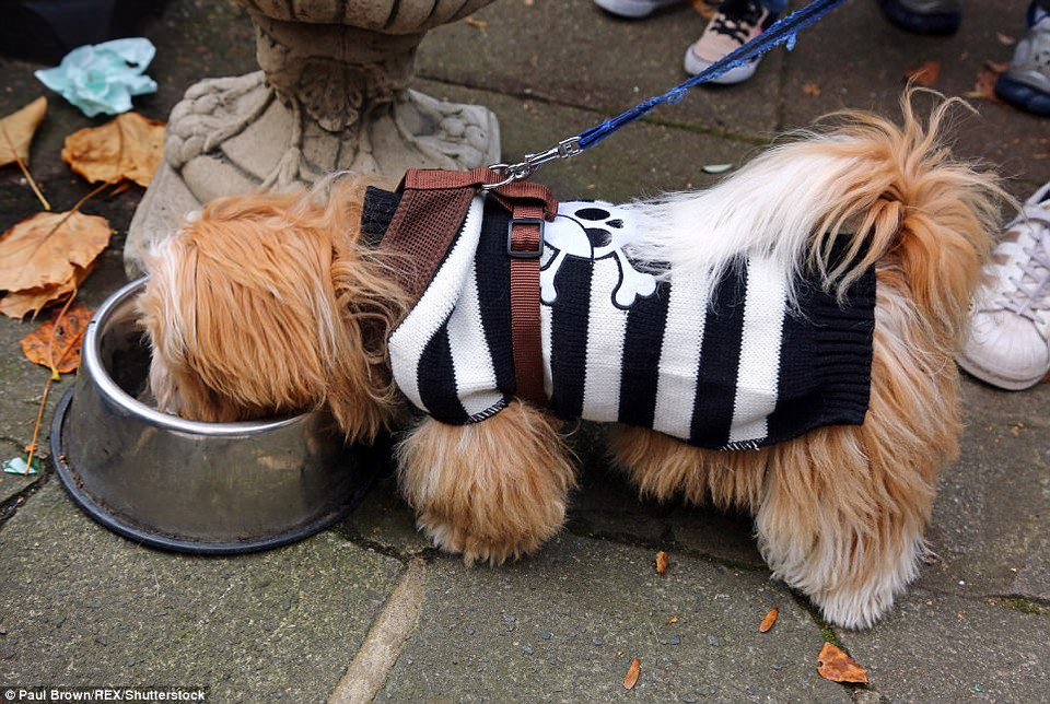 (Nguồn: DailyMail)