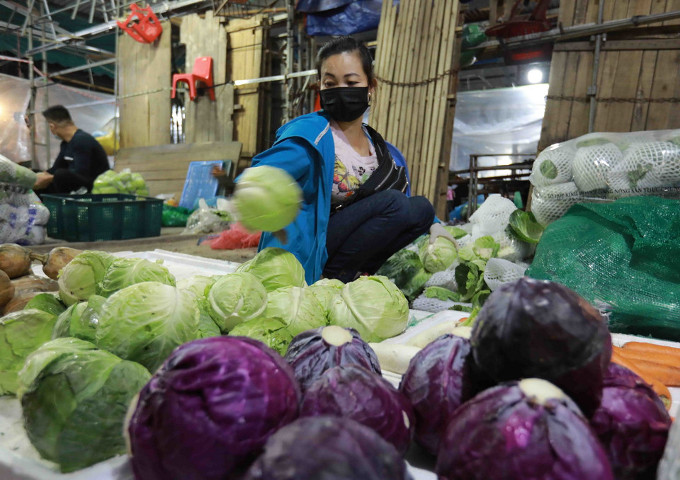 Theo khảo sát của phóng viên TTXVN sáng 26/10 gái một số loại rau xanh có giá từ 10.000đ đến 15.000đ/mớ (tương đương từ 20.000đ đến 40.000đ/kg). (Ảnh: Vũ Sinh/TTXVN)