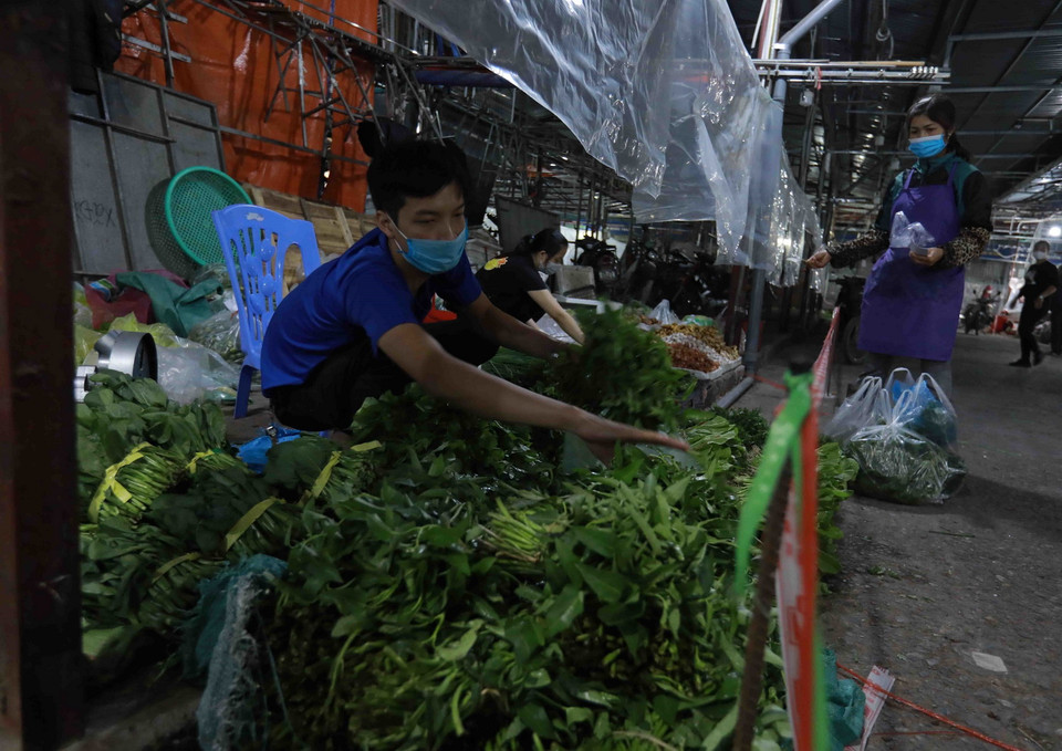 Theo khảo sát của phóng viên TTXVN sáng 26/10 gái một số loại rau xanh có giá từ 10.000đ đến 15.000đ/mớ (tương đương 20.000đ đến 40.000đ/kg). (Ảnh: Vũ Sinh/TTXVN)