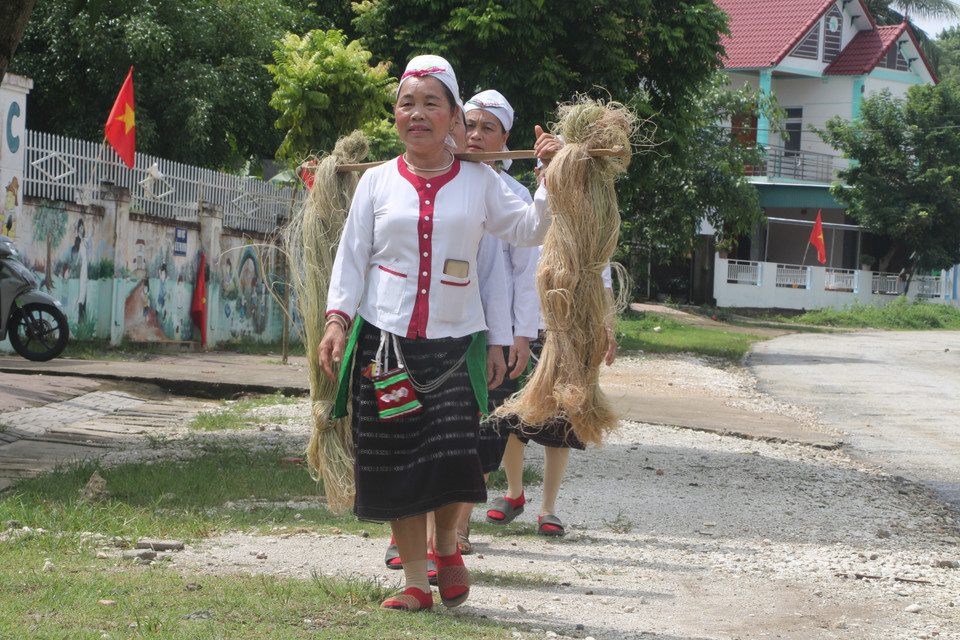Mang sợi gai đã được phơi khô đi đan võng. (Ảnh: Bích Huệ/TTXVN)