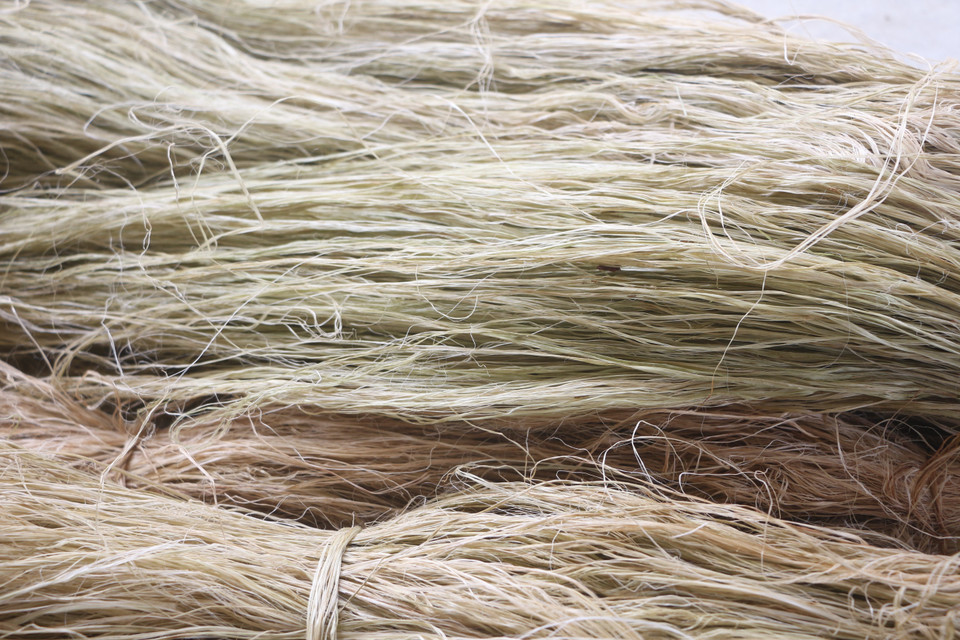 Sau khi tước, sợi cây gai được phơi đủ nắng và bảo quản cẩn thận. (Ảnh: Bích Huệ/ TTXVN)