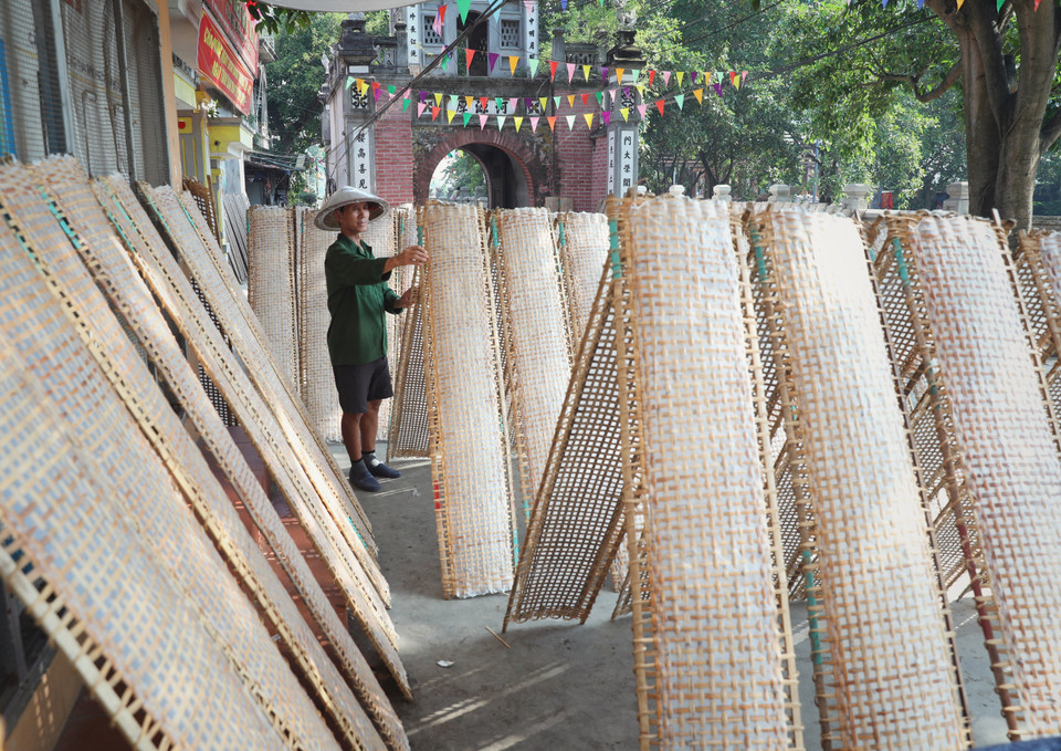 Khắp đường làng, ngõ xóm đâu đâu cũng thấy sự hiện diện của nghề truyền thống làm bánh đa nem. (Ảnh: Danh Lam/TTXVN)