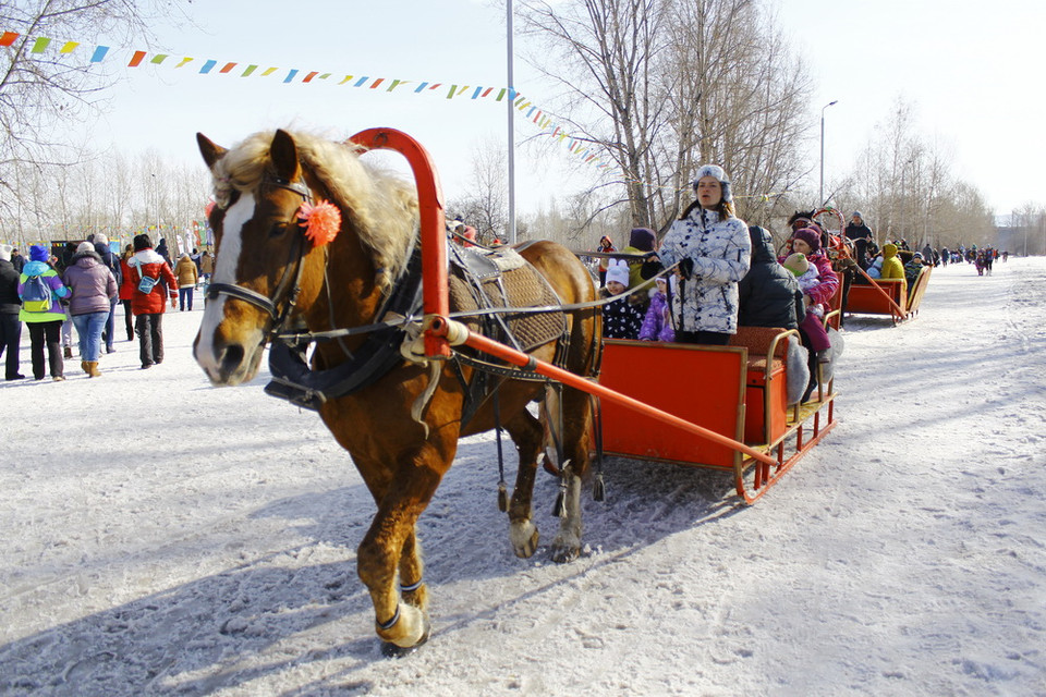 Cùng dạo chơi trên xe ngựa trượt tuyết. (Ảnh: Trần Hiếu/Vietnam+)