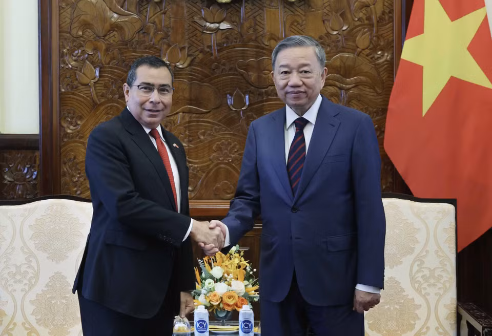 Chủ tịch nước Tô Lâm tiếp Đại sứ Panama Eligio Salas III. (Ảnh: Nhan Sáng/TTXVN)
