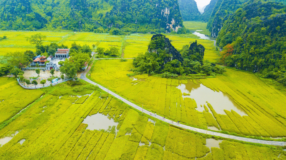 Ngôi đền cổ Thái Vi nằm giữa thung lũng lúa chín vàng và được bao quanh bởi những dãy núi. (Ảnh: Minh Đức/TTXVN)