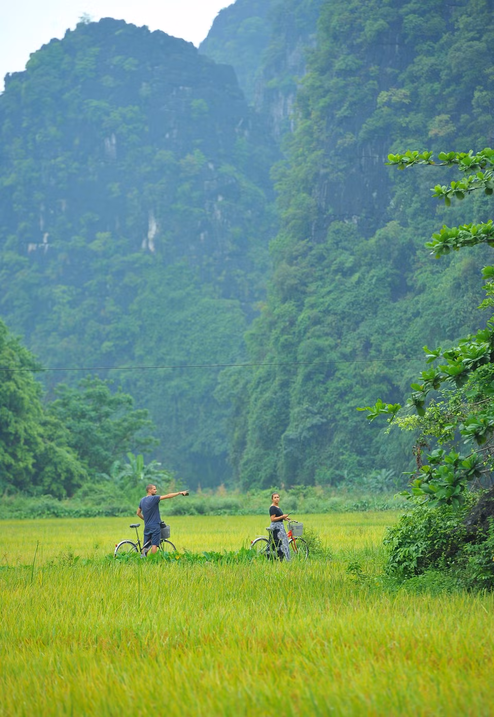 Du khách quốc tế đạp xe tham quan và trải nghiệm cuộc sống nơi đây vào mùa lúa chín. (Ảnh: Minh Đức/TTXVN)