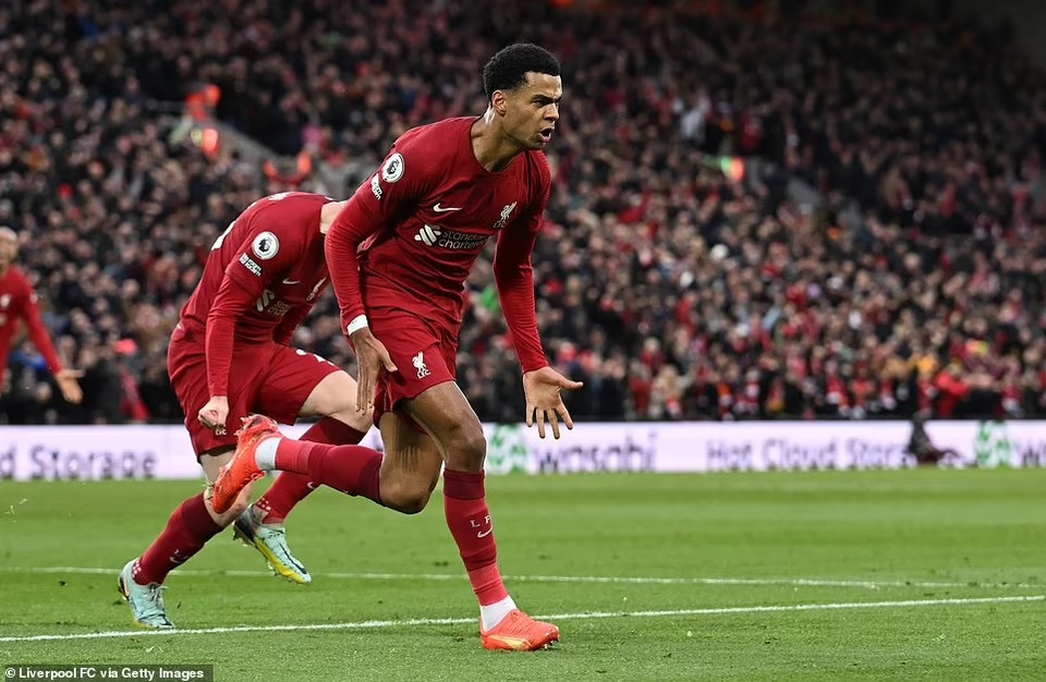 Niềm vui của Gakpo sau khi ghi bàn vào lưới Quỷ đỏ. (Nguồn: Getty Images)