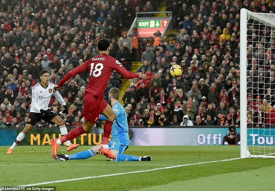 ...còn Gakpo cũng kịp có thêm cho mình bàn thắng thứ 2 ở trận này. (Nguồn: Getty Images)