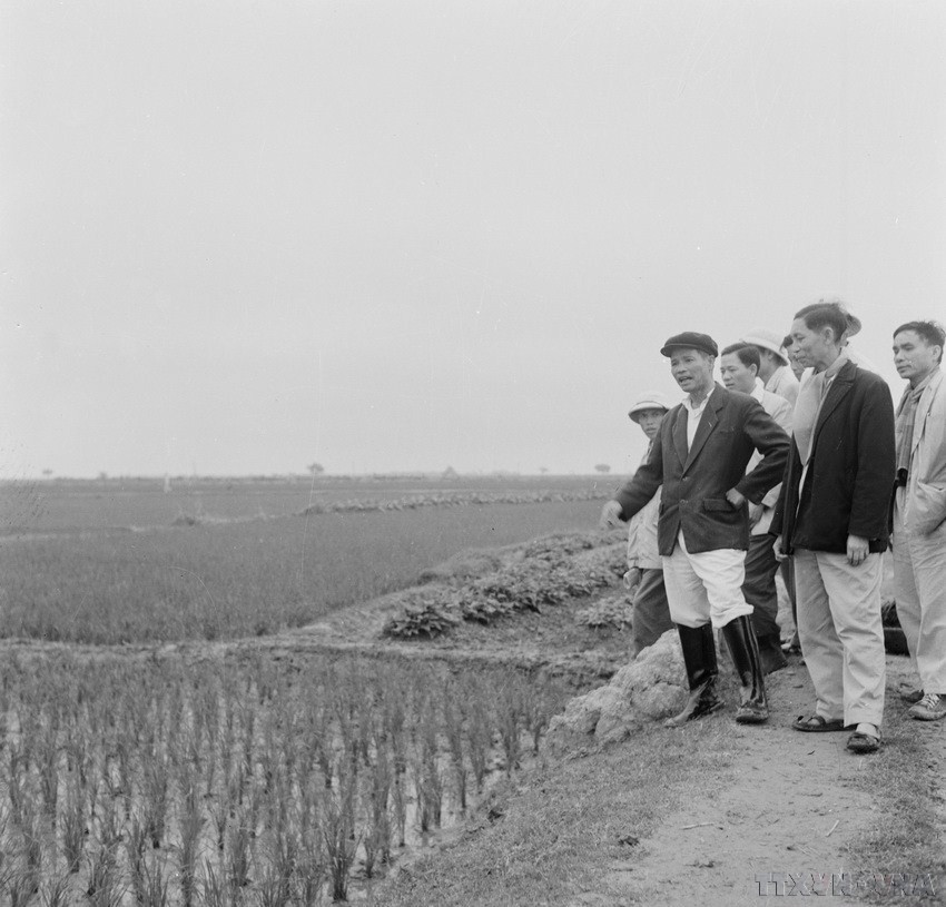 Đại tướng Nguyễn Chí Thanh thăm cánh đồng lúa tăng vụ của Hợp tác xã Quyết Tiến (An Lão, Kiến An, Hải Phòng). (Ảnh: Vũ Hà/TTXVN)