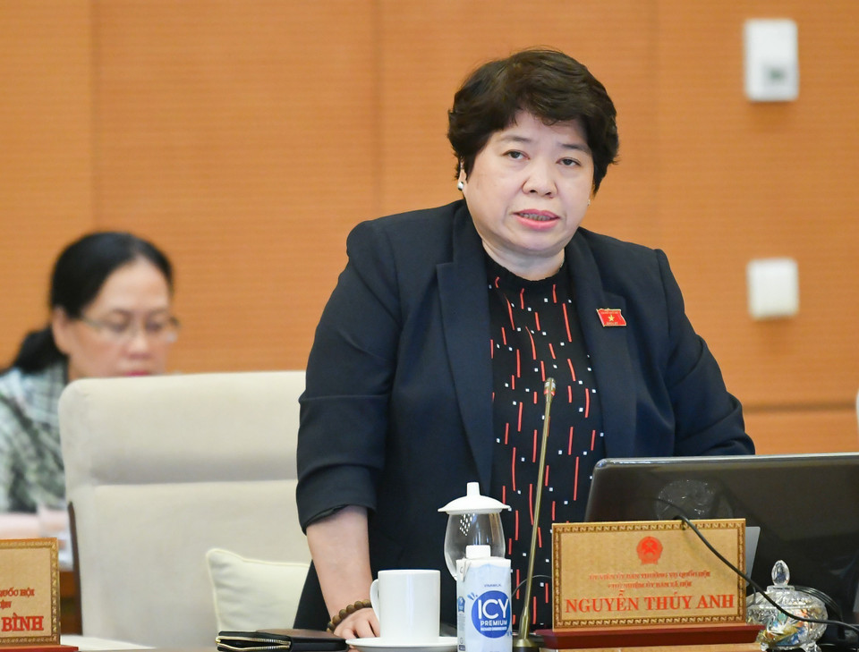 Chủ nhiệm Ủy ban Xã hội của Quốc hội Nguyễn Thúy Anh phát biểu. (Ảnh: Doãn Tấn/TTXVN)