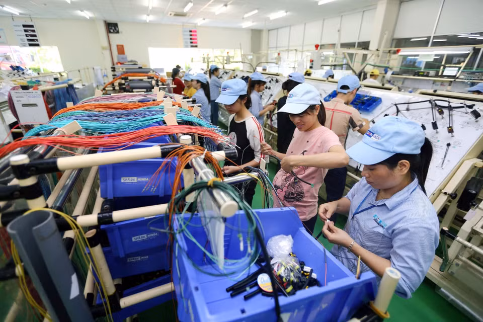 Sau khi tham gia các khóa tập huấn, những người phụ nữ nhiệt tình hỗ trợ chồng mình trong hoạt động sản xuất và làm kinh tế gia đình. (Ảnh: PV/Vietnam+)