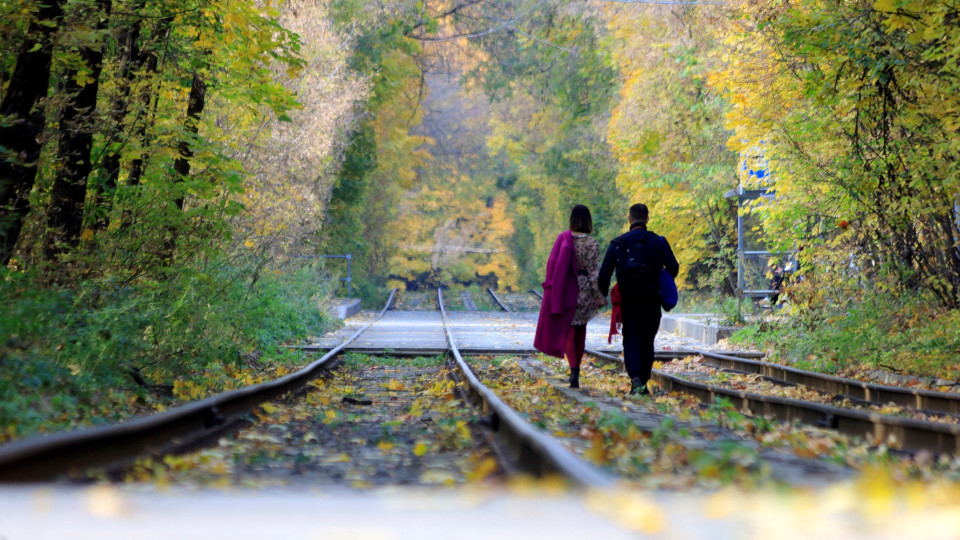 Mùa Thu vàng mang đến khung cảnh lãng mạn đặc trưng của nước Nga. (Ảnh: Trần Hiếu/TTXVN)