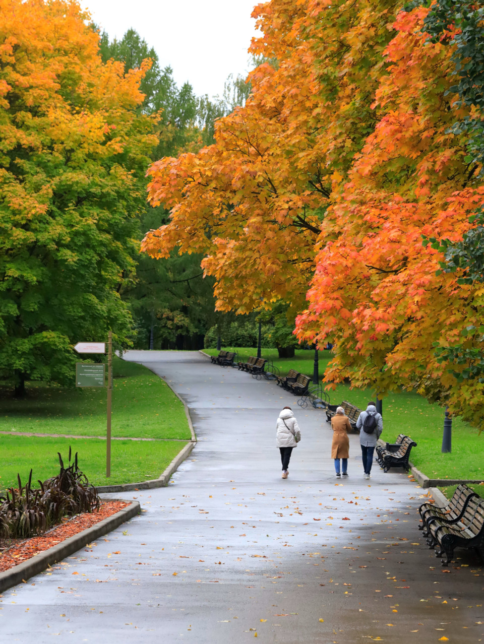 Hàng cây trong công viên Kolomenskoe chuyển sang màu đặc trưng của mùa Thu. (Ảnh: Trần Hiếu/TTXVN)