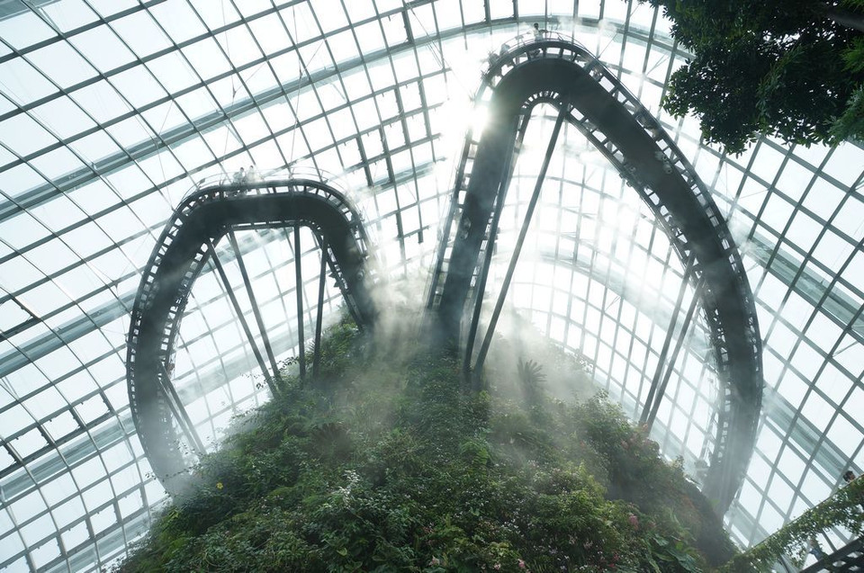 Dạo trong mây. (Nguồn: NatGeo) Cloud Forest (Rừng mây) nằm trong quần thể Những khu vườn bên Vịnh của Singapore là điểm tham quan độc đáo thu hút du khách.