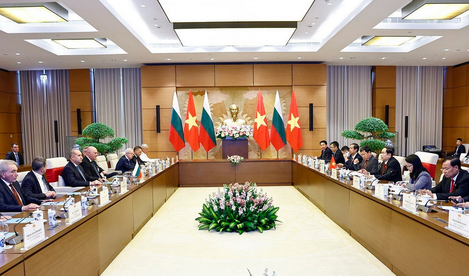 Quang cảnh cuộc hội kiến. (Ảnh: Doãn Tấn/TTXVN)