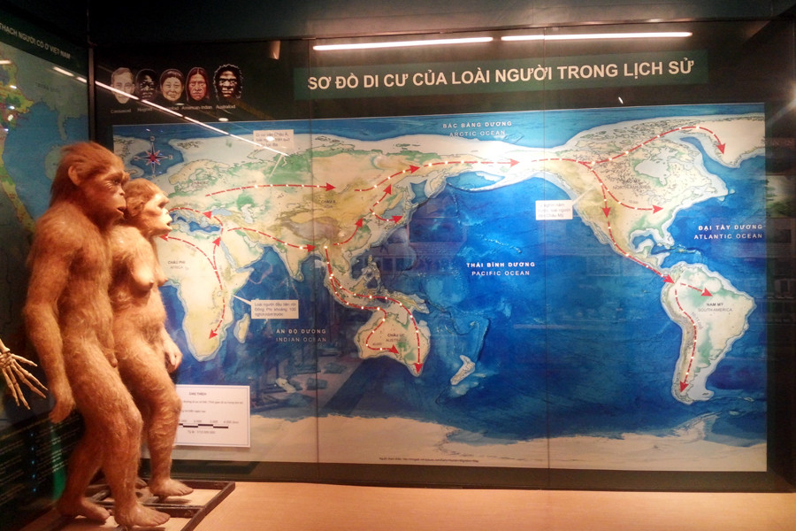 Sơ đồ di cư của loài người. (Ảnh: T.H/Vietnam+)