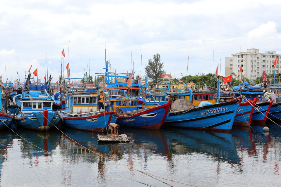 Ngư dân Đà Nẵng tranh thủ ra tàu kiểm tra, cột chằng tàu thuyền để chống bão Noru. (Ảnh: Trần Lê Lâm/TTXVN)