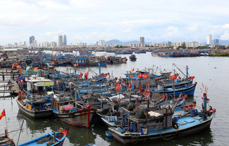 Tàu thuyền được sắp xếp đúng quy định để đảm bảo an toàn phòng chống bão Noru tại âu thuyền Thọ Quang, Đà Nẵng. (Ảnh: Trần Lê Lâm/TTXVN)